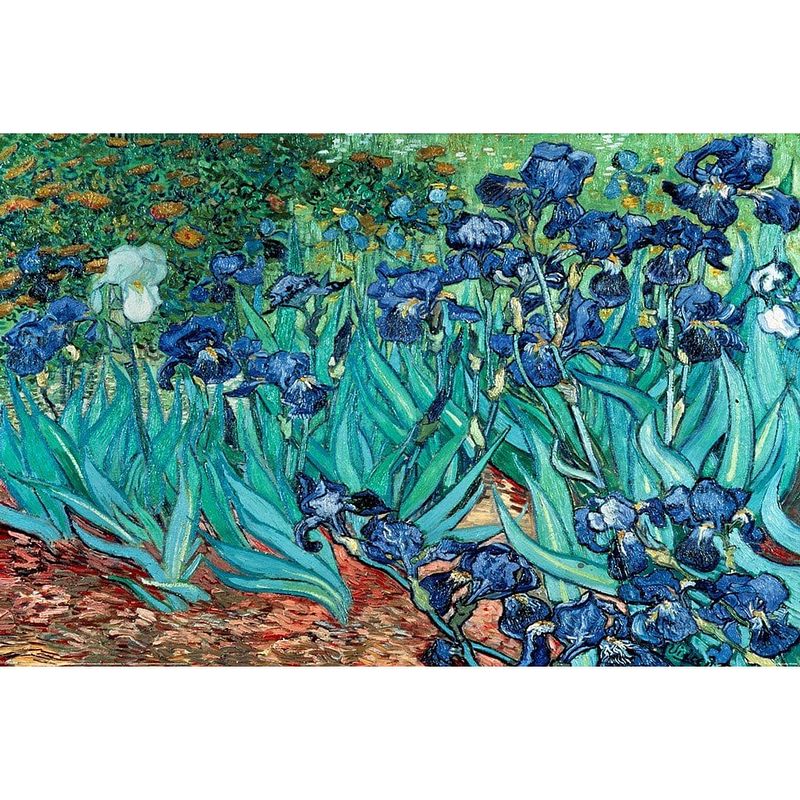 Foto van Pyramid van gogh les irises poster 91,5x61cm