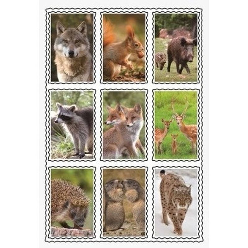 Foto van Wilde dieren 3d sticker set - stickers