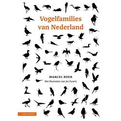 Foto van Vogelfamilies van nederland