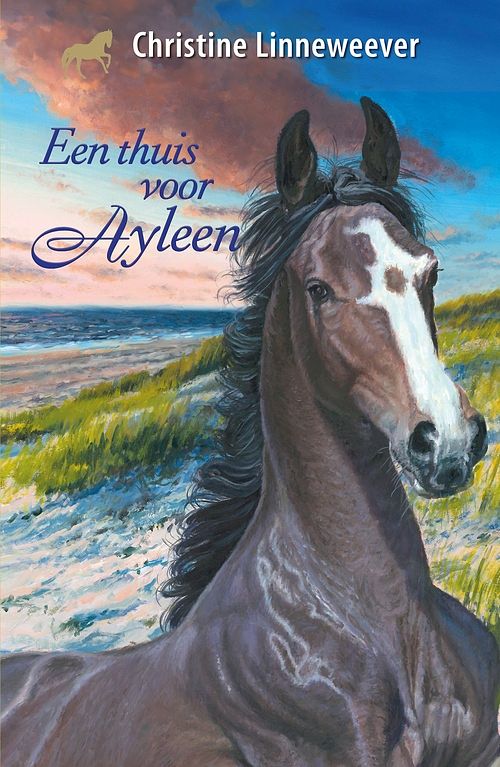 Foto van Een thuis voor ayleen - christine linneweever - ebook