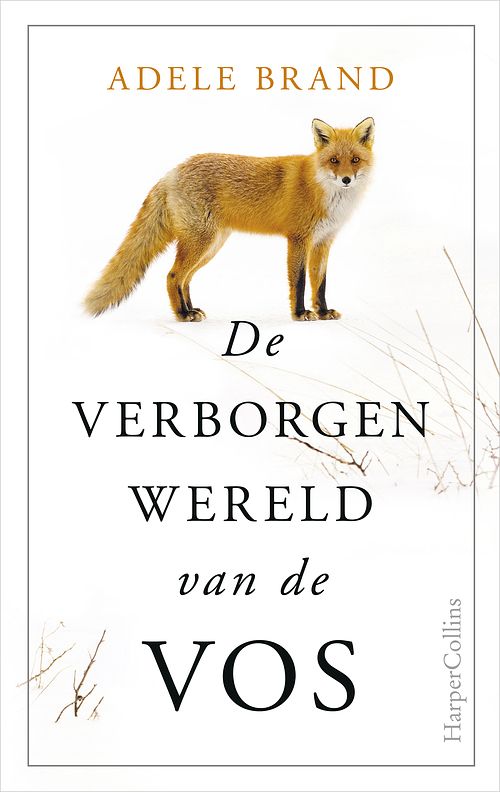 Foto van De verborgen wereld van de vos - adele brand - ebook (9789402759877)