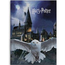 Foto van Harry potter fleece deken hogwarts hedwig - 100 x 140 cm - polyester