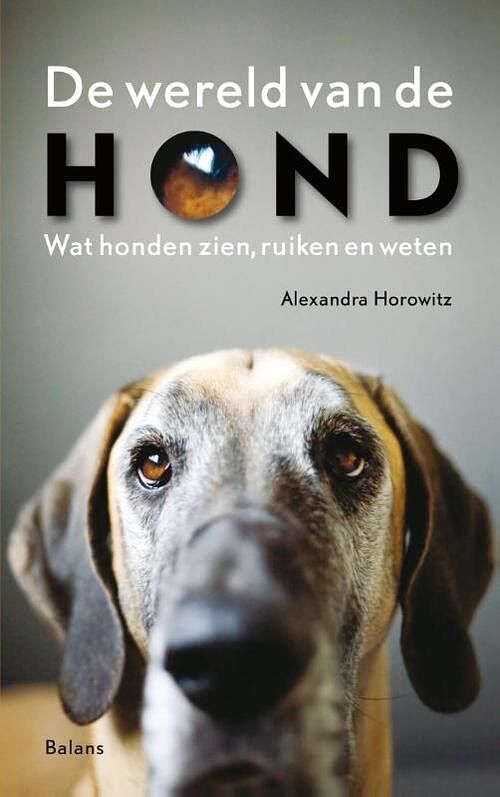 Foto van De wereld van de hond - alexandra horowitz - ebook (9789460034381)