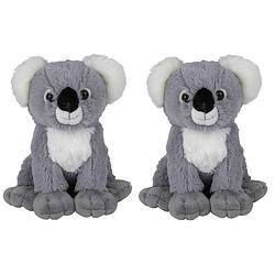 Foto van Multipak van 2x stuks pluche knuffels koala van 19 cm - knuffeldier