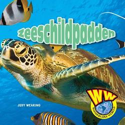 Foto van Zeeschildpadden - wonderlijke wereld