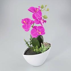 Foto van Orchidee in kunststof pot lavendel l