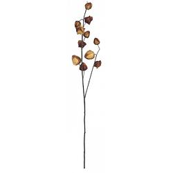 Foto van Mica decorations decoratietak lampionplant 94 cm bruin