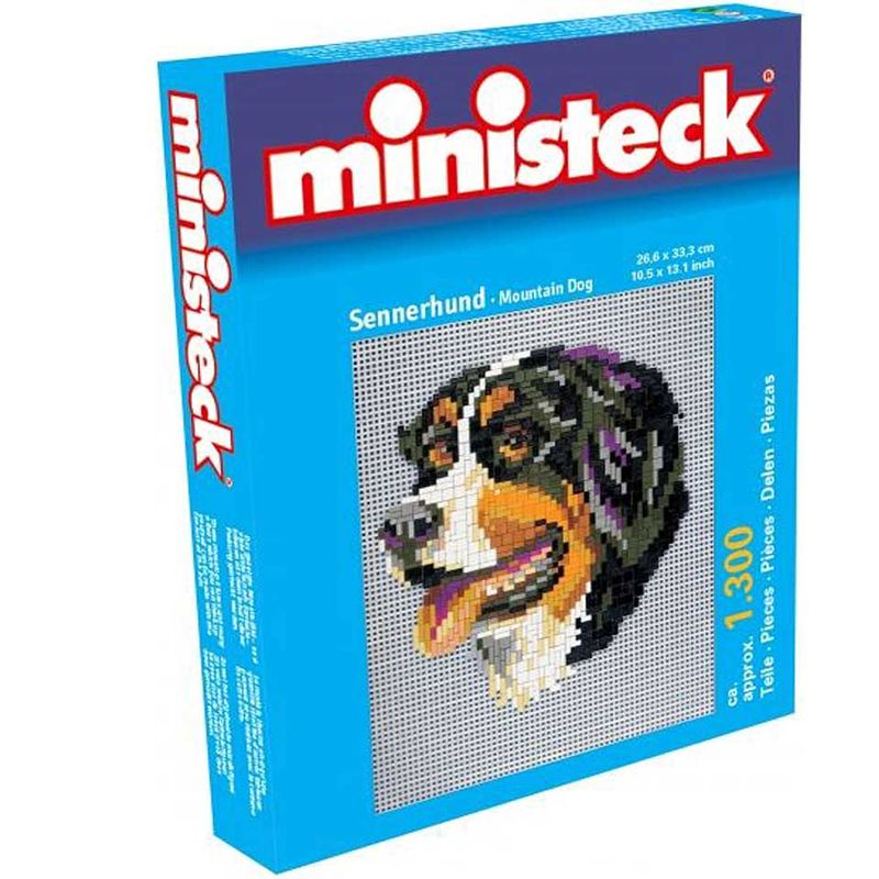 Foto van Ministeck berner sennenhond