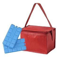 Foto van Strand sixpack mini koeltasje rood inclusief 2 koelelementen - koeltas