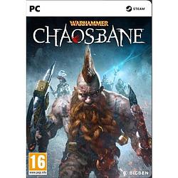 Foto van Bigben - warhammer chaosbane pc game