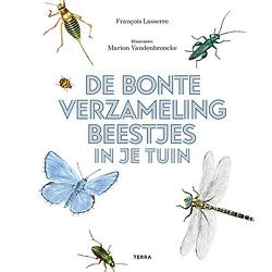 Foto van De bonte verzameling beestjes in je tuin