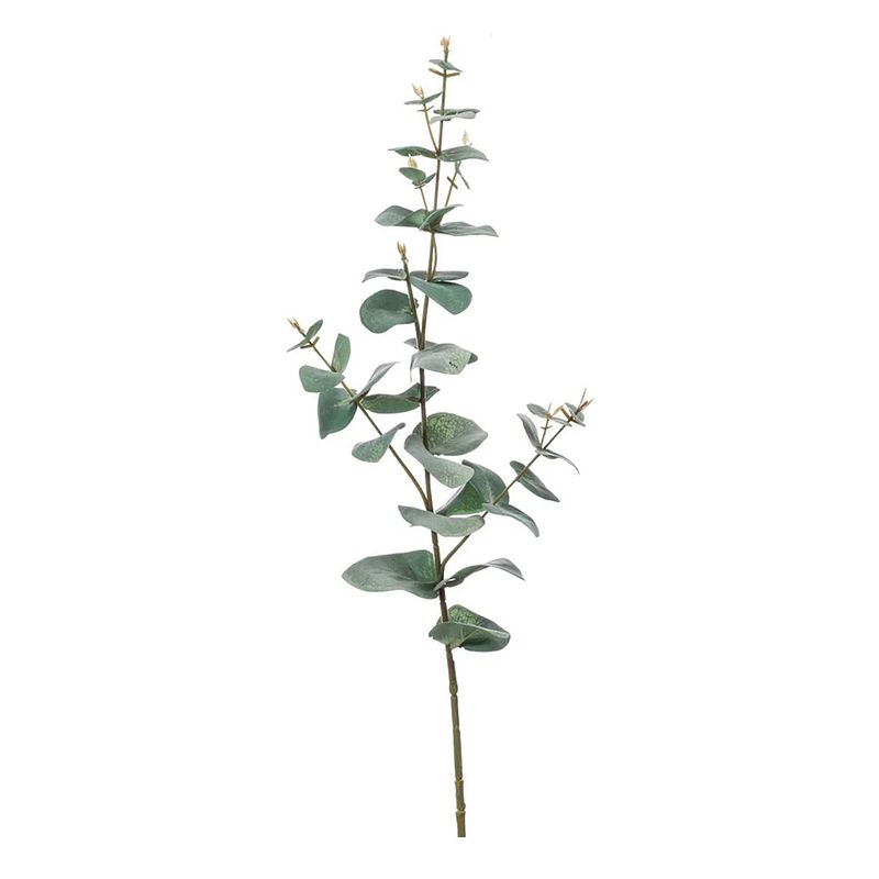 Foto van Groene eucalyptus kunsttak kunstplant 68 cm - kunstbloemen