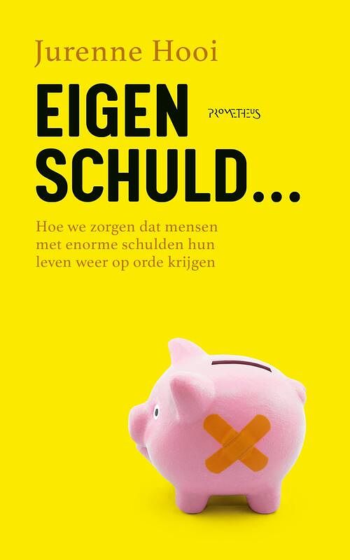 Foto van Eigen schuld - jurenne hooi - ebook (9789044651980)