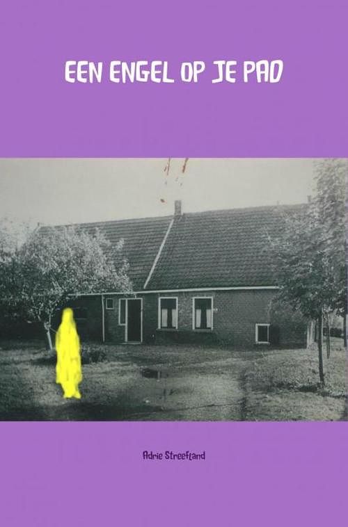 Foto van Een engel op je pad - adrie streefland - ebook