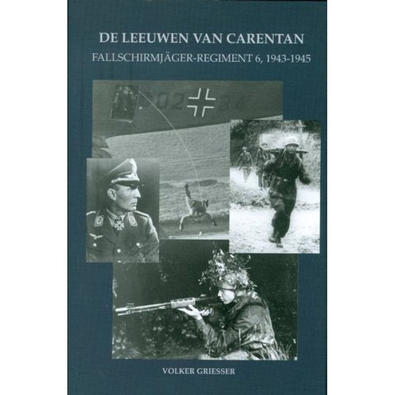 Foto van De leeuwen van carentan