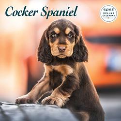 Foto van Engelse cocker spaniel kalender 2023 deluxe