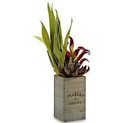 Foto van Ibergarden kunstplant vetplant 50 x 10 cm hout rood/groen