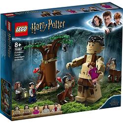 Foto van Lego harry potter het verboden bos: omber'ss ontmoeting met groemp - 75967