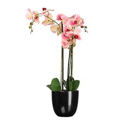 Foto van Orchidee kunstplant roze - 75 cm - inclusief bloempot zwart glans - kunstplanten