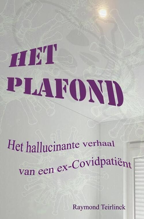 Foto van Het plafond - raymond teirlinck - paperback (9789464857368)