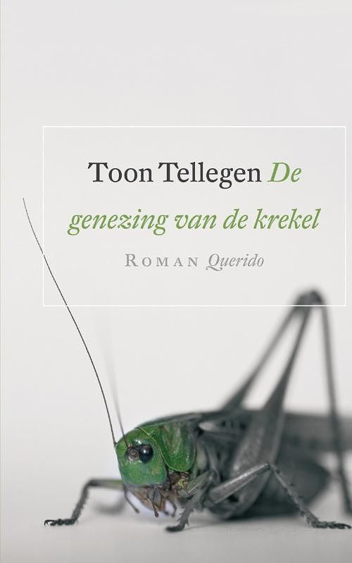 Foto van De genezing van de krekel - toon tellegen - ebook (9789021436272)