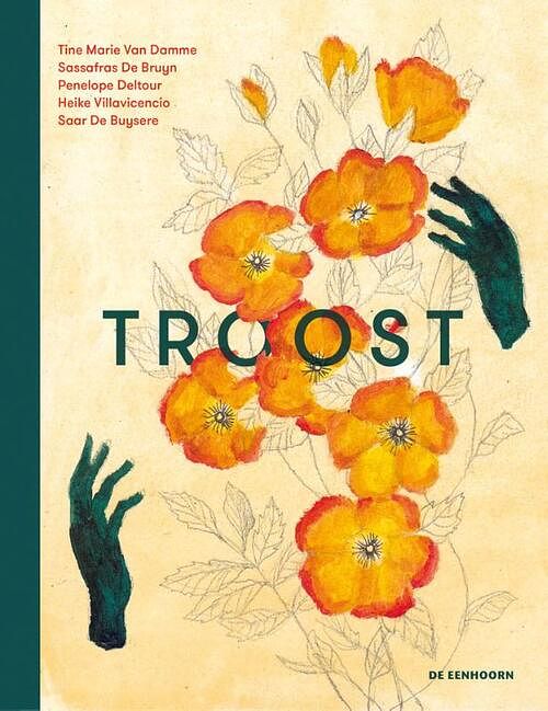 Foto van Troost - tine marie van damme - hardcover (9789462916074)