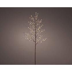 Foto van Lumineo - micro led tak d50h180 cm bruin/warm wit kerstverlichting