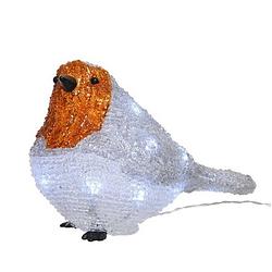 Foto van Kerstverlichting figuren voor buiten - verlichte roodborstje led 20 lampjes - 21 cm - koel wit