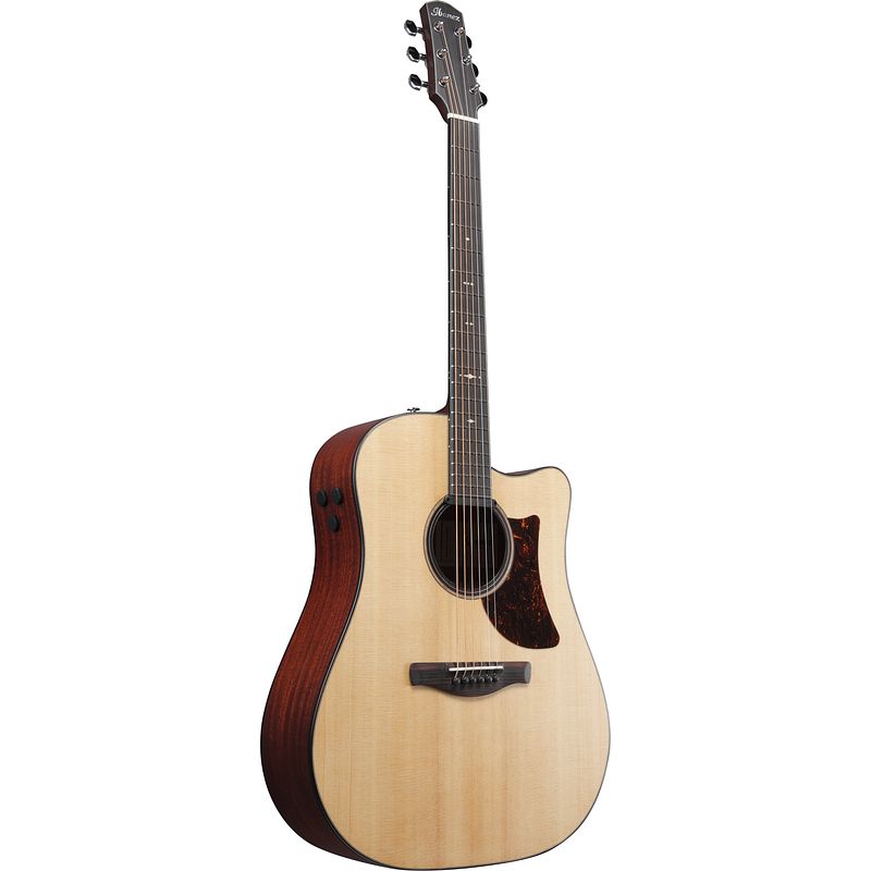 Foto van Ibanez aad400ce-lgs platinum natural lg elektrisch-akoestische westerngitaar incl. koffer