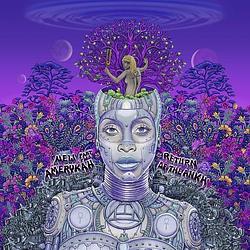 Foto van New amerykah part two - lp (0602435946078)