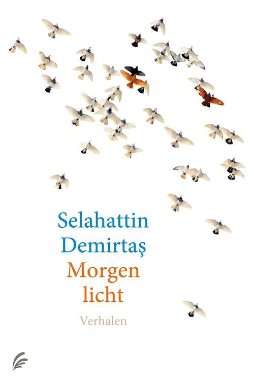 Foto van Morgenlicht - selahattin demirtas - ebook (9789044977301)