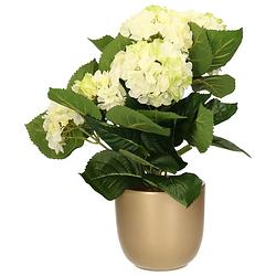 Foto van Hortensia kunstplant/kunstbloemen 36 cm - wit/groen - in pot goud glans - kunstplanten