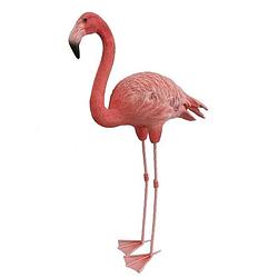 Foto van Dierenbeeld flamingo 65 cm - tuinbeelden