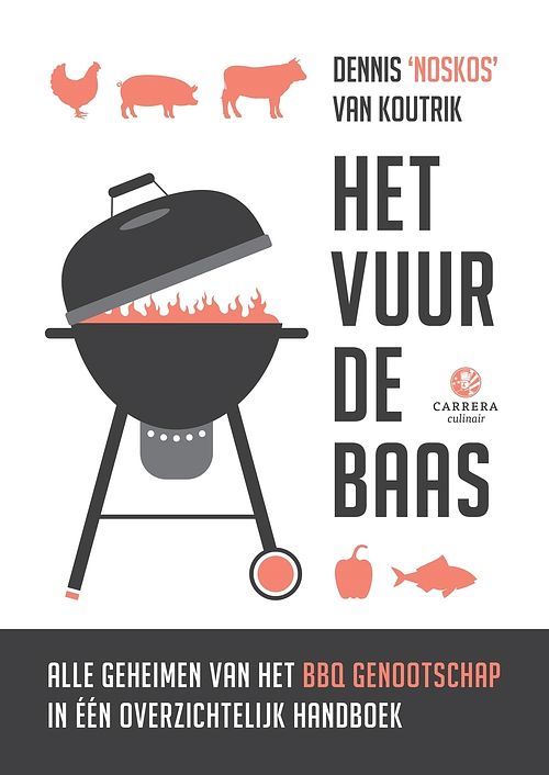 Foto van Het vuur de baas - dennis van koutrik - ebook (9789048837991)