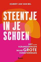 Foto van Steentje in je schoen - egbert jan van bel - ebook