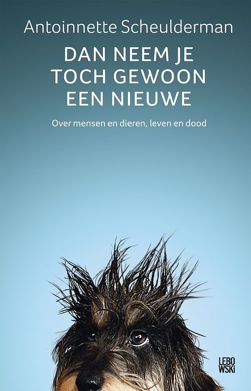 Foto van Dan neem je toch gewoon een nieuwe - antoinnette scheulderman - ebook (9789048844562)