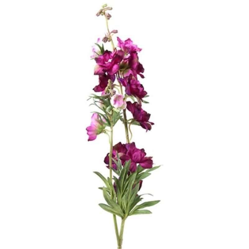 Foto van Delphinium jesika paars - 90 cm