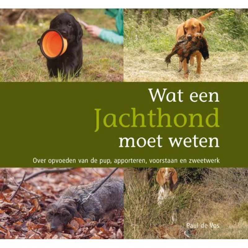 Foto van Wat een jachthond moet weten