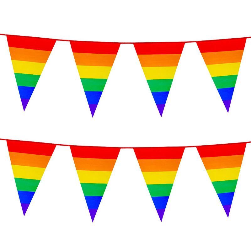 Foto van 2x stuks boland pe vlaggenlijn - 8m - regenboog - universeel thema - vlaggenlijnen