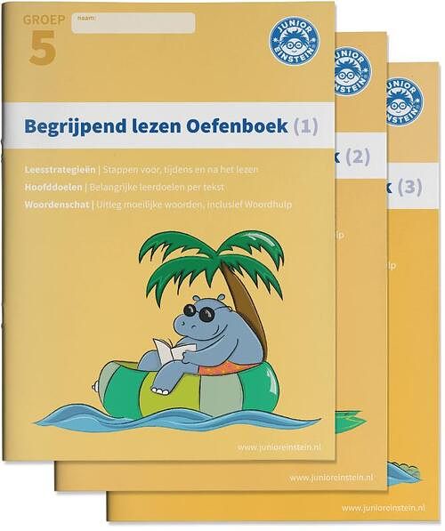 Foto van Begrijpend lezen - paperback (9789492265531)