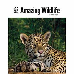 Foto van Wwf amazing wildlife agenda 2023