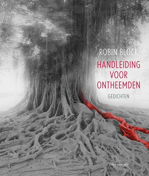 Foto van Handleiding voor ontheemden - robin block - ebook