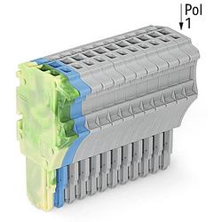 Foto van Wago 2020-114/000-039 connector, female 10 stuk(s)