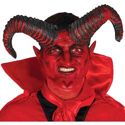 Foto van Fiestas guirca hoorns satan rood/zwart one-size