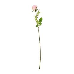 Foto van Mercedes roos - roze - 49 cm