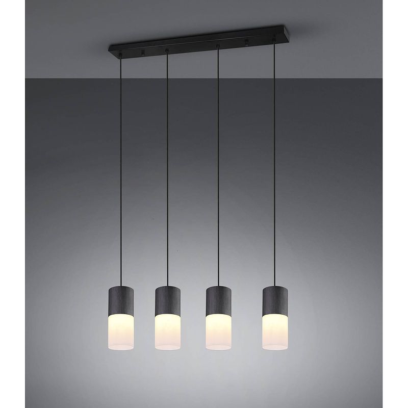 Foto van Industriële hanglamp robin - metaal - zwart