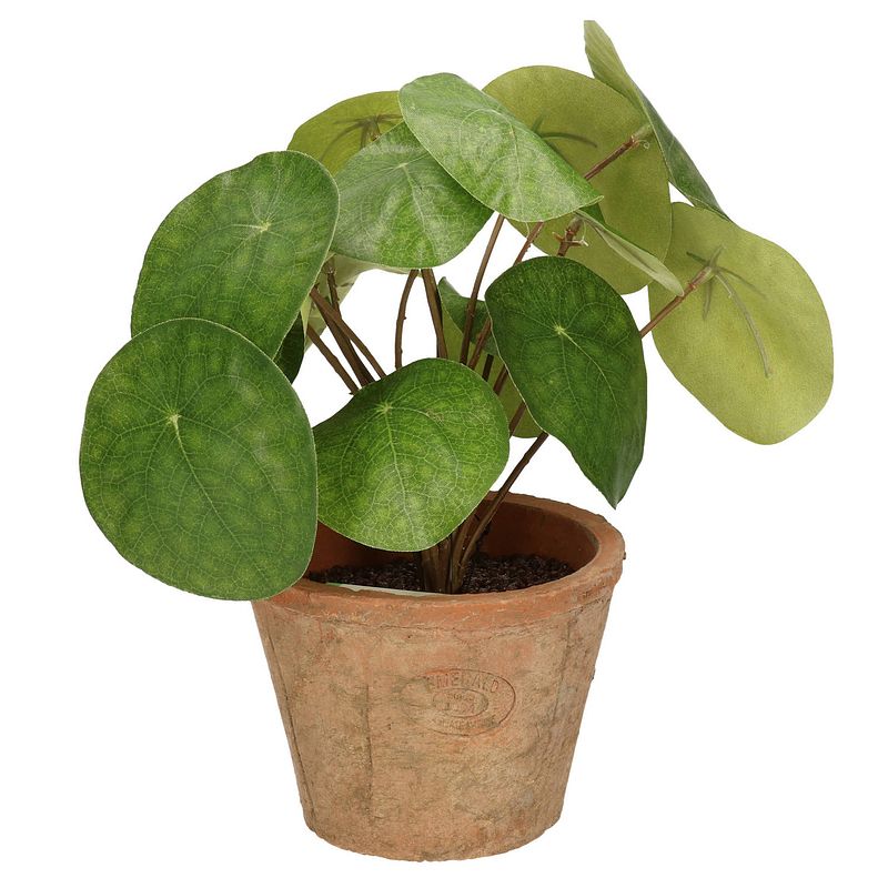 Foto van Kunstplant pilea pannekoekplant groen in pot 25 cm - kunstplanten