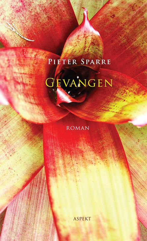 Foto van Gevangen - pieter sparre - ebook (9789463386845)