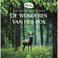 Foto van De wonderen van het bos