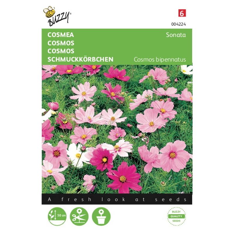 Foto van 2 stuks cosmea sonate gemengd